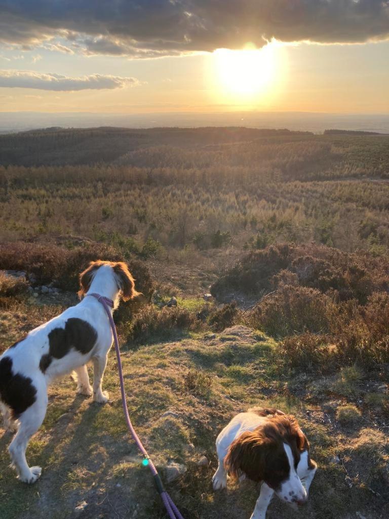 Valley View Farm Holiday Cottages ヘルムスリー エクステリア 写真