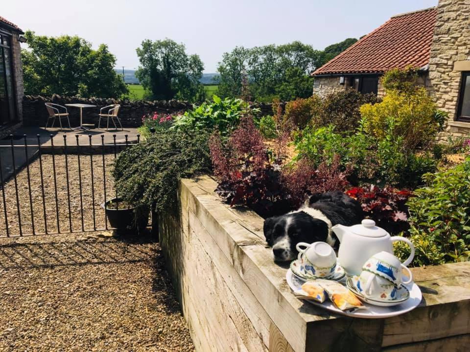 Valley View Farm Holiday Cottages ヘルムスリー エクステリア 写真